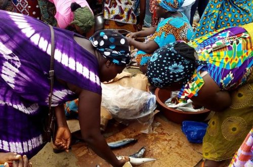 Article : Femmes ivoiriennes, une solidarité autour du poisson pour la survie